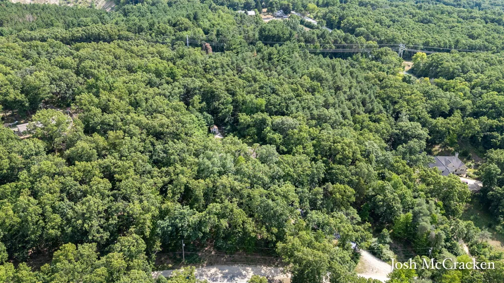 9665 Black Oak Drive Lowell, MI 49331