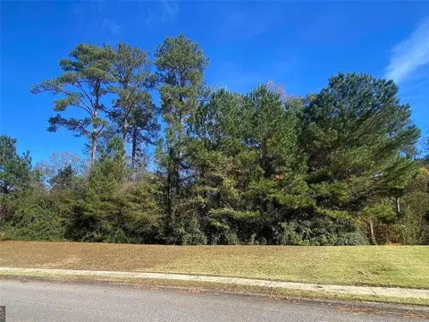 110 Morgan Drive