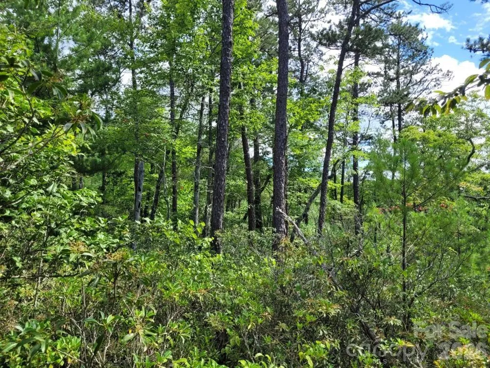 0 Oconee Drive Marion, NC 28752