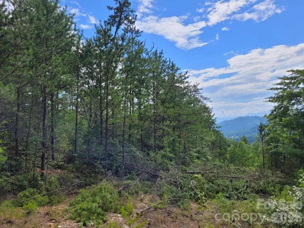 0 Oconee Drive Marion, NC 28752