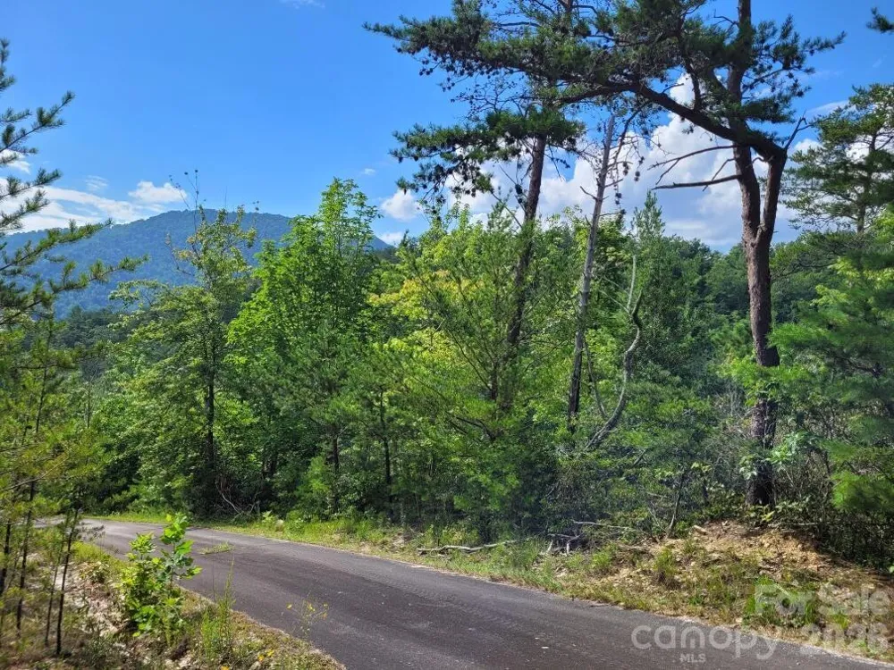 0 Oconee Drive Marion, NC 28752