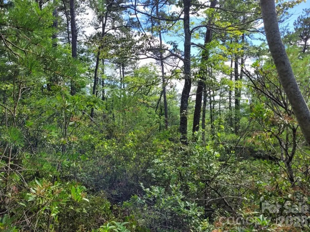 0 Oconee Drive Marion, NC 28752