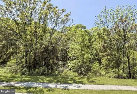 LITCHFIELD ROAD