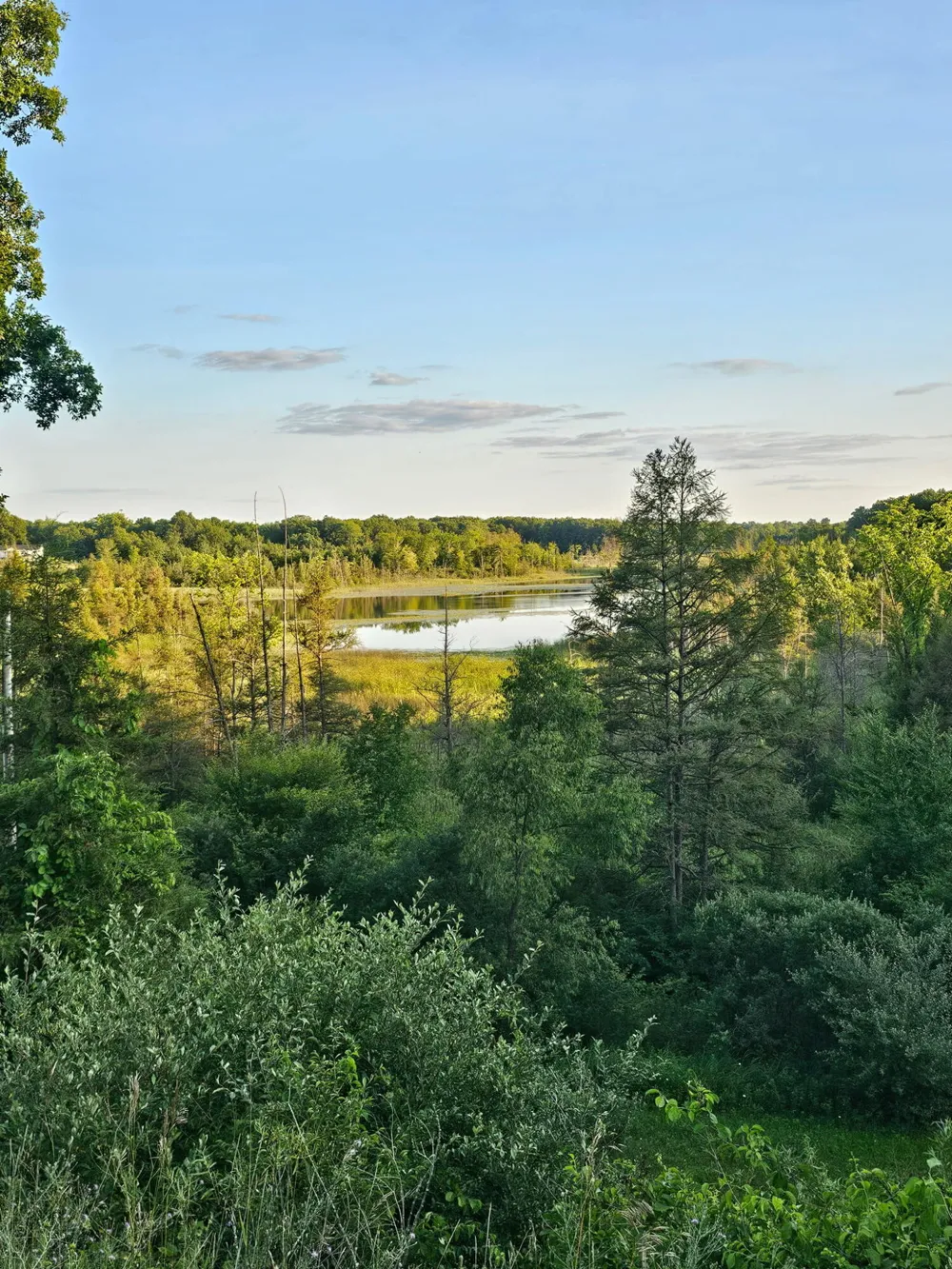 5464 Clear Lake Road Grass Lake, MI 49240