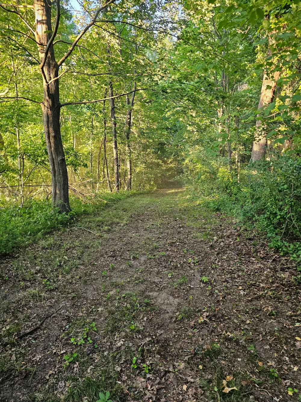 5464 Clear Lake Road Grass Lake, MI 49240