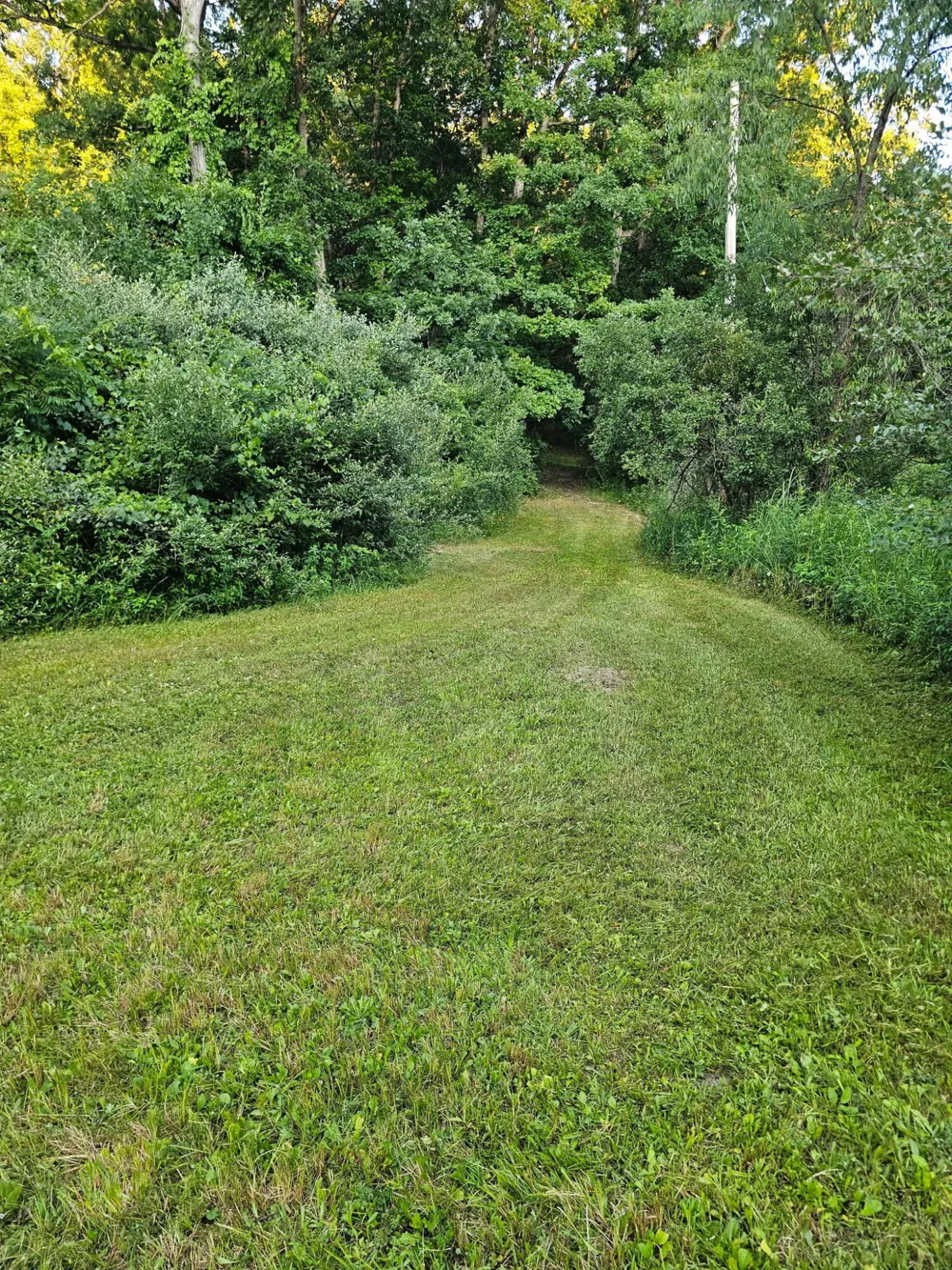 5464 Clear Lake Road Grass Lake, MI 49240