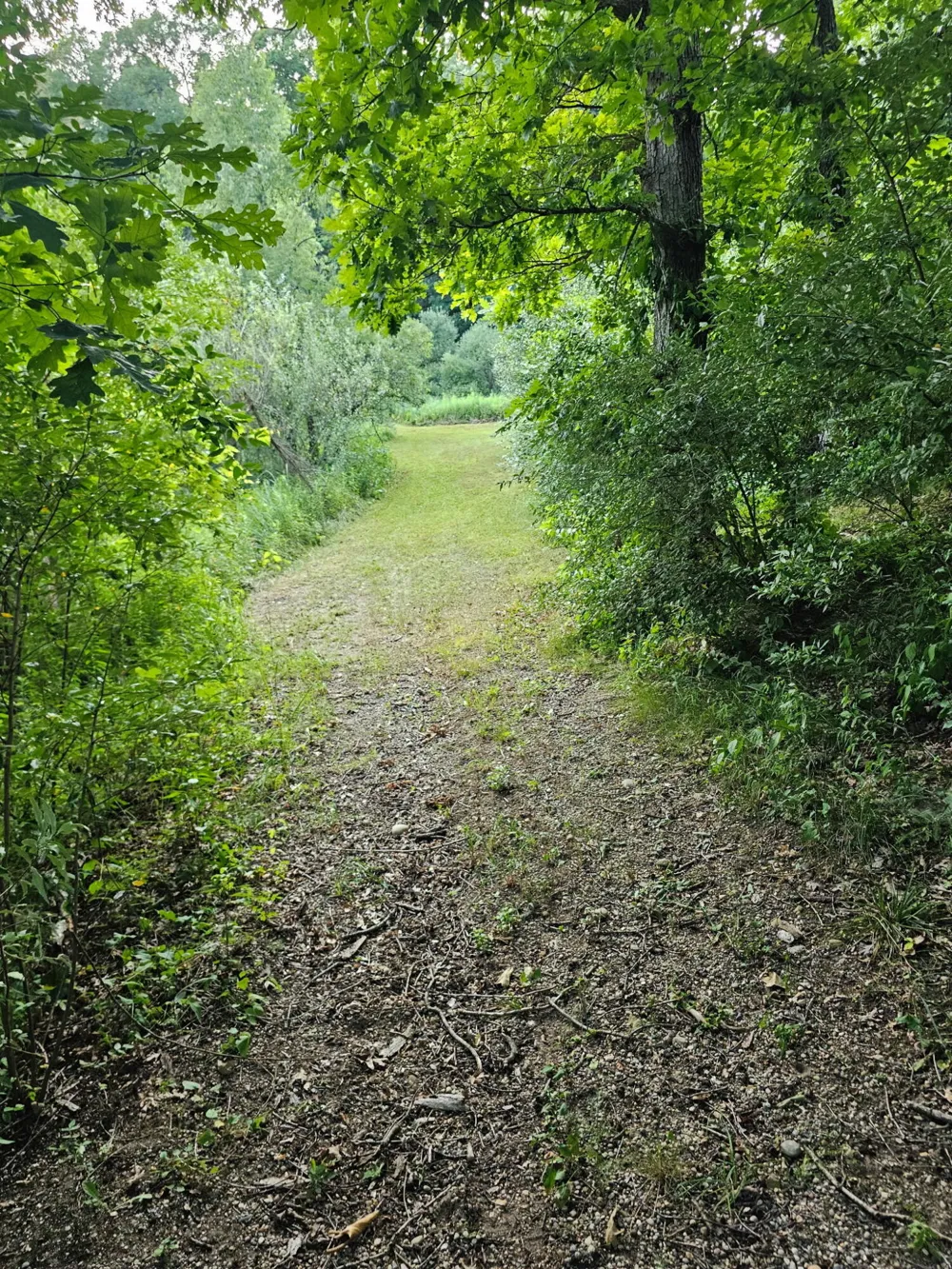 5464 Clear Lake Road Grass Lake, MI 49240