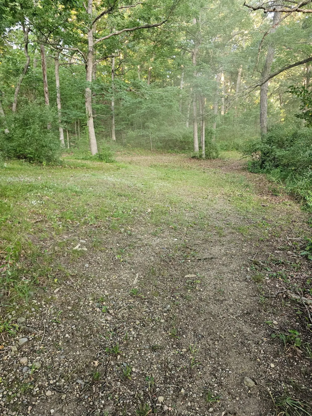 5464 Clear Lake Road Grass Lake, MI 49240