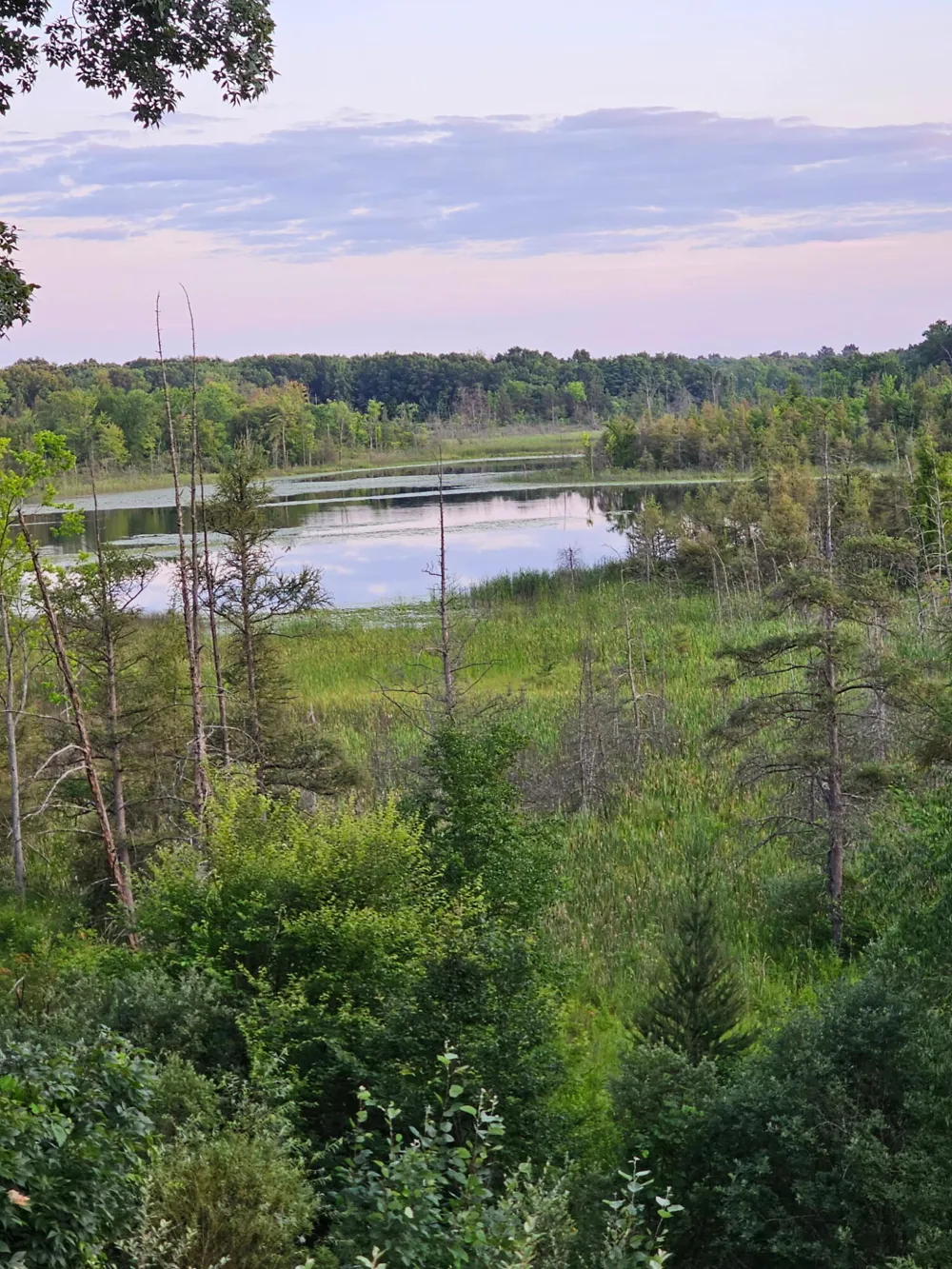 5464 Clear Lake Road Grass Lake, MI 49240