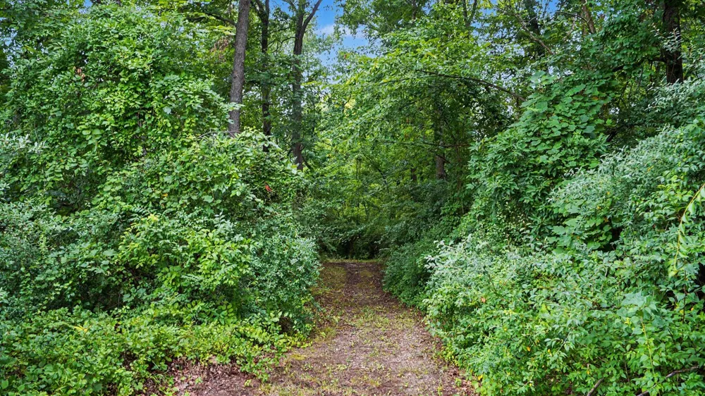 5464 Clear Lake Road Grass Lake, MI 49240