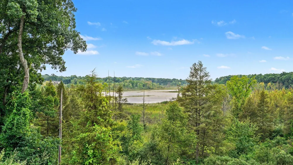 5464 Clear Lake Road Grass Lake, MI 49240