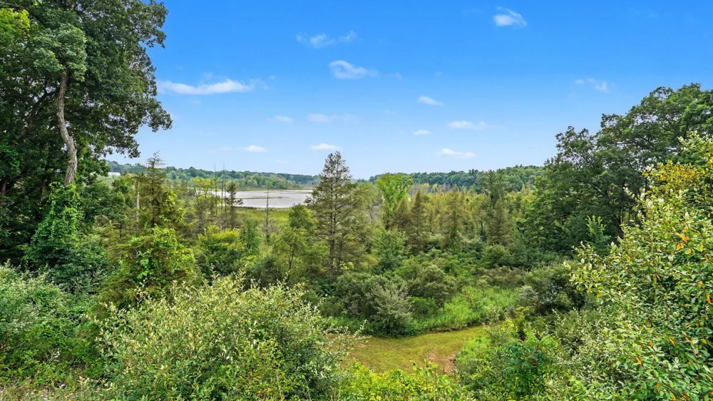 5464 Clear Lake Road Grass Lake, MI 49240