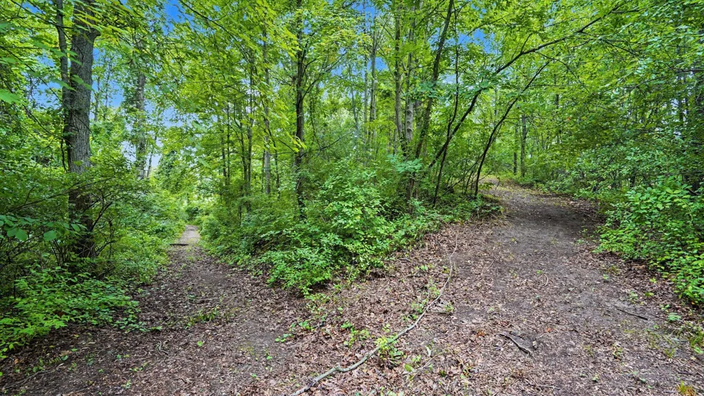 5464 Clear Lake Road Grass Lake, MI 49240