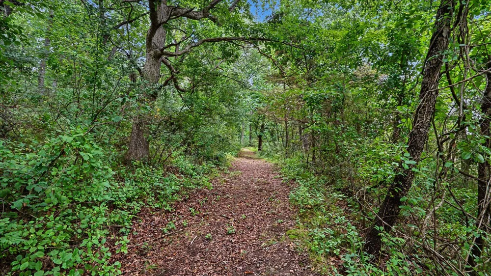 5464 Clear Lake Road Grass Lake, MI 49240
