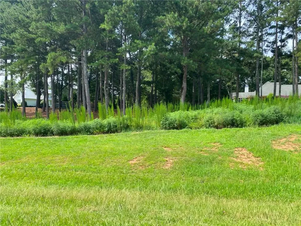 0 Magnolia Drive Winder, GA 30680