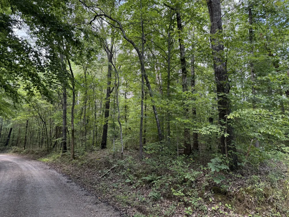 995 Hurricane Creek Road Stewart, TN 37175