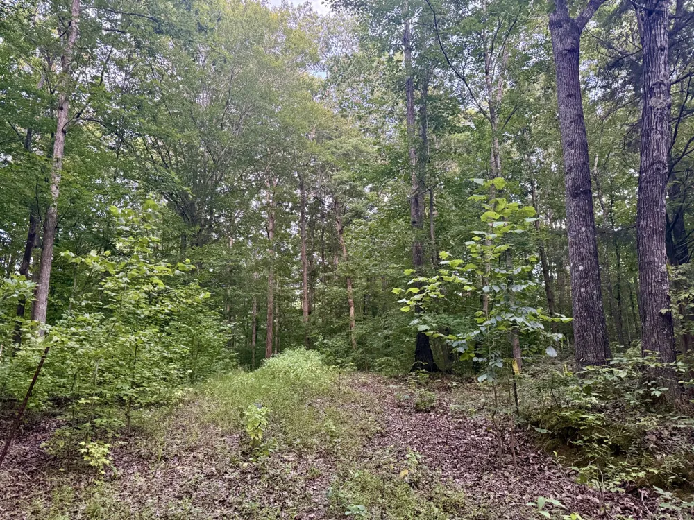 995 Hurricane Creek Road Stewart, TN 37175