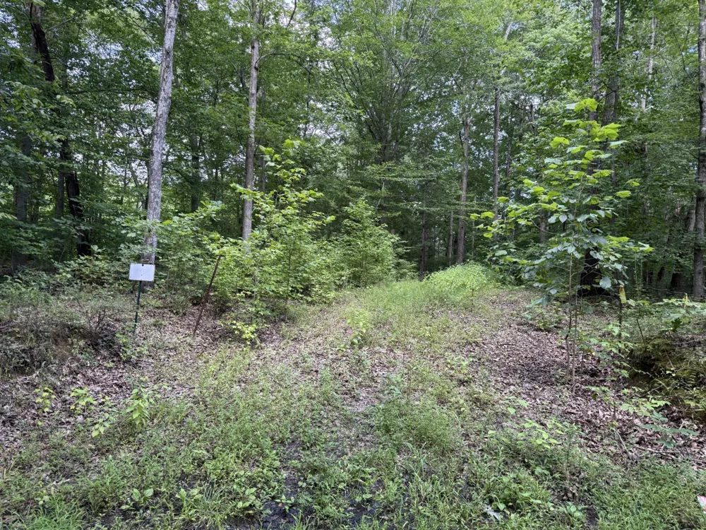 995 Hurricane Creek Road Stewart, TN 37175