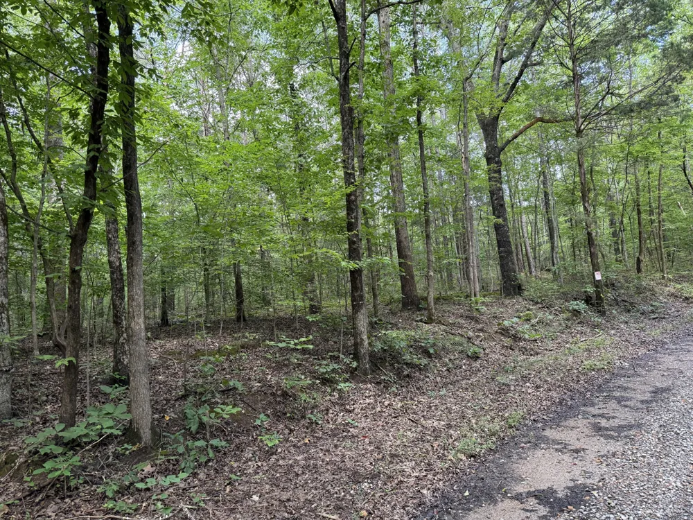 995 Hurricane Creek Road Stewart, TN 37175