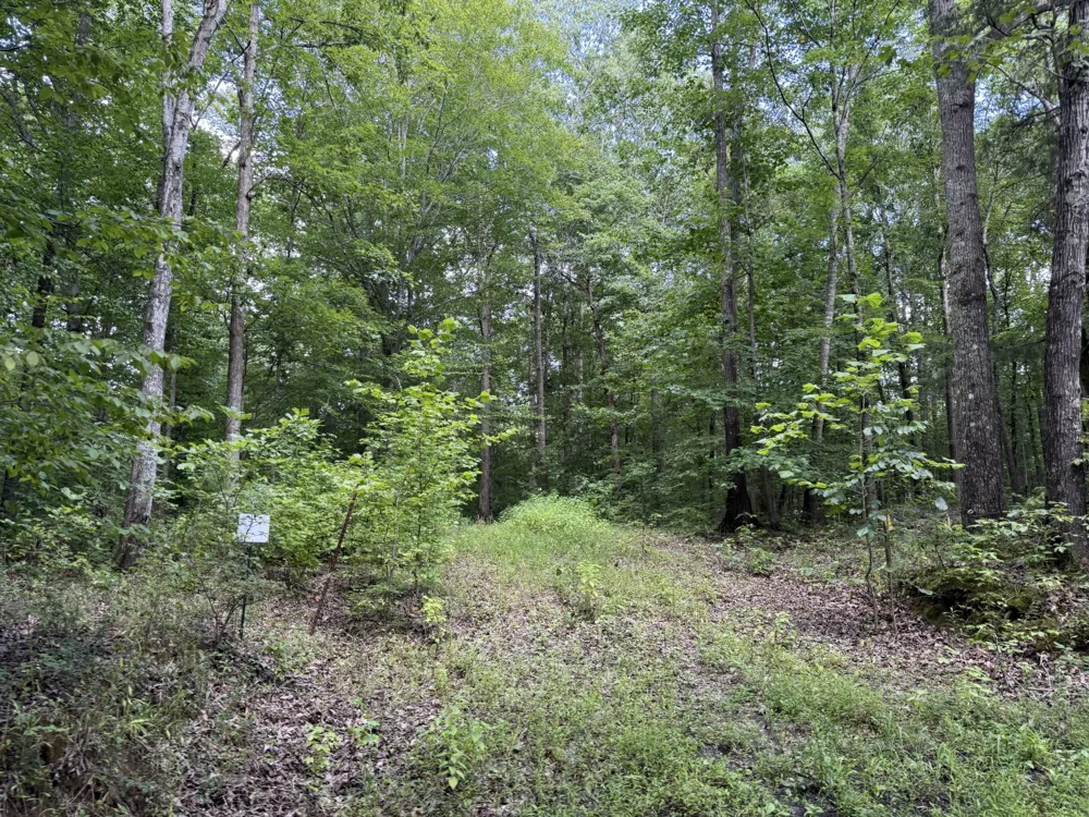 995 Hurricane Creek Road Stewart, TN 37175