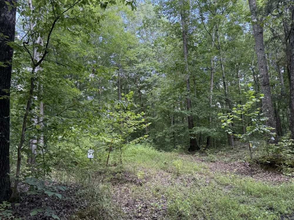 995 Hurricane Creek Road Stewart, TN 37175