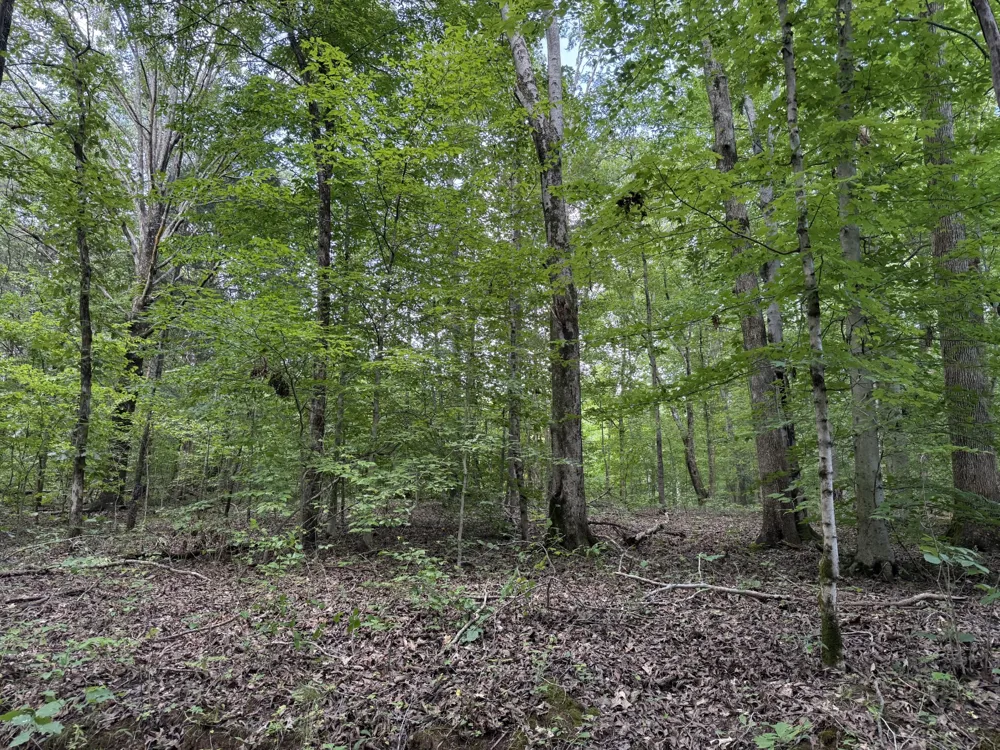 995 Hurricane Creek Road Stewart, TN 37175