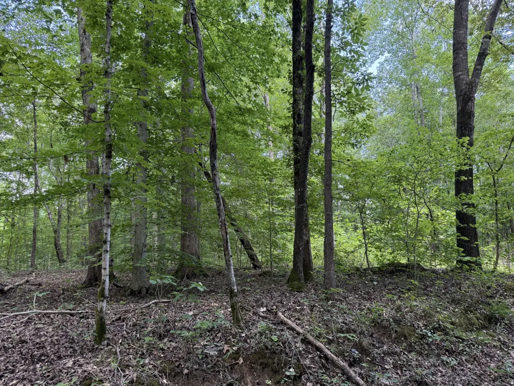 995 Hurricane Creek Road Stewart, TN 37175
