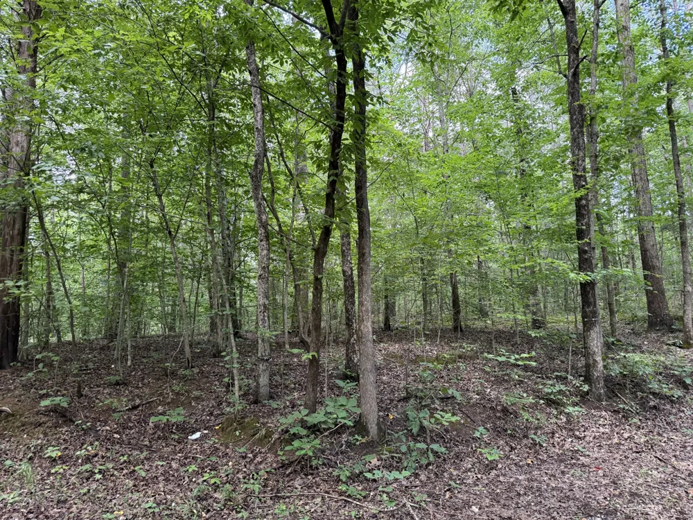995 Hurricane Creek Road Stewart, TN 37175