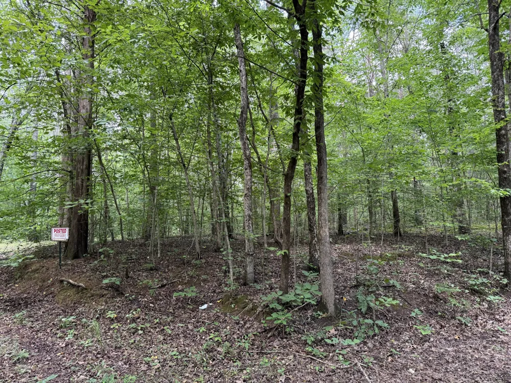 995 Hurricane Creek Road Stewart, TN 37175