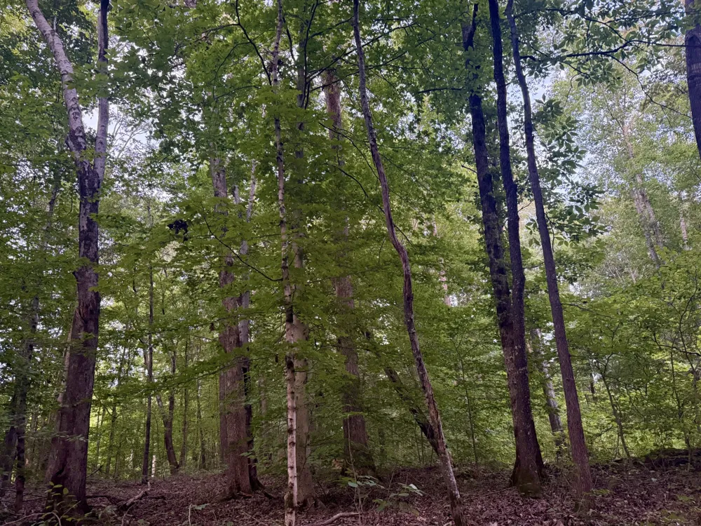 995 Hurricane Creek Road Stewart, TN 37175