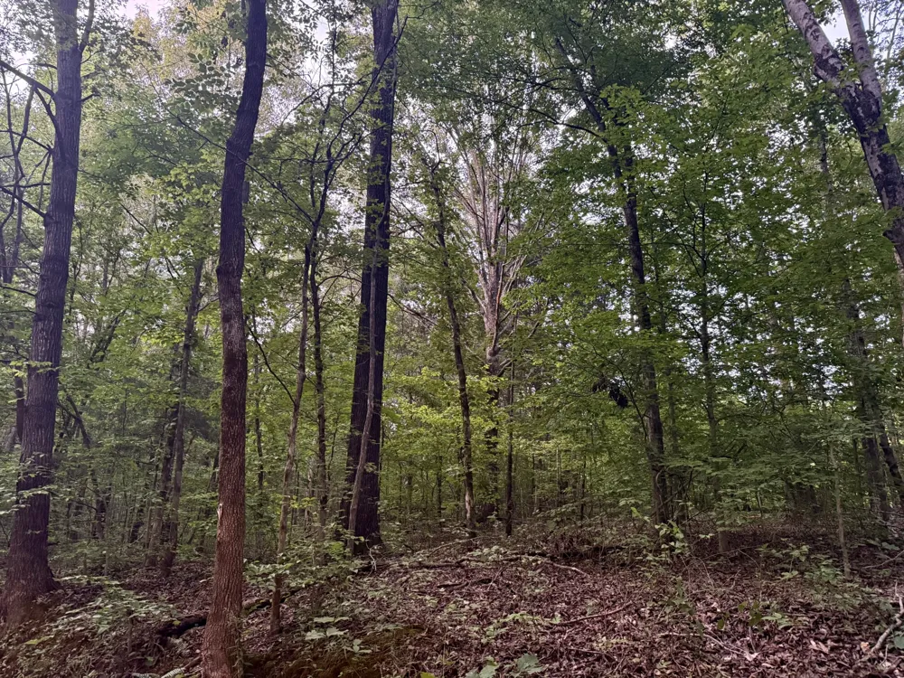 995 Hurricane Creek Road Stewart, TN 37175