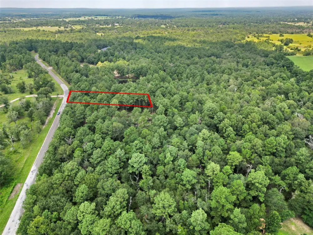 446 Moffett Springs Road Huntsville, TX 77320