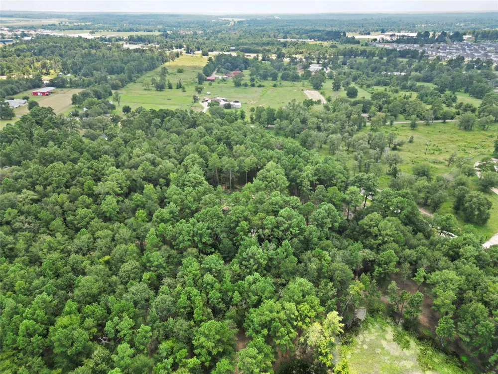 446 Moffett Springs Road Huntsville, TX 77320