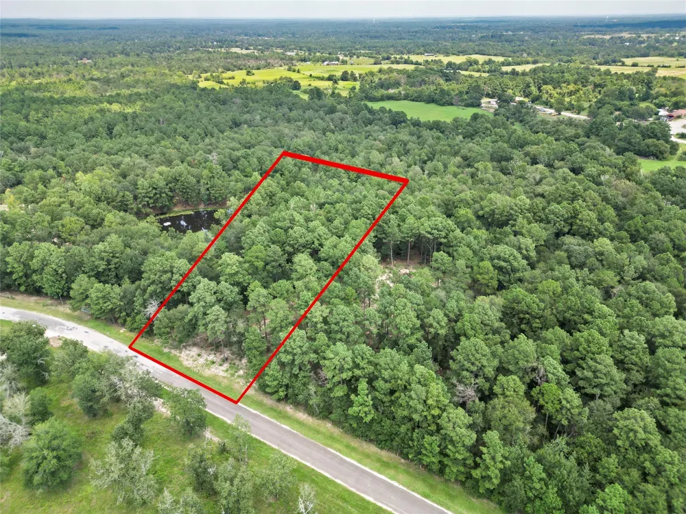 446 Moffett Springs Road Huntsville, TX 77320
