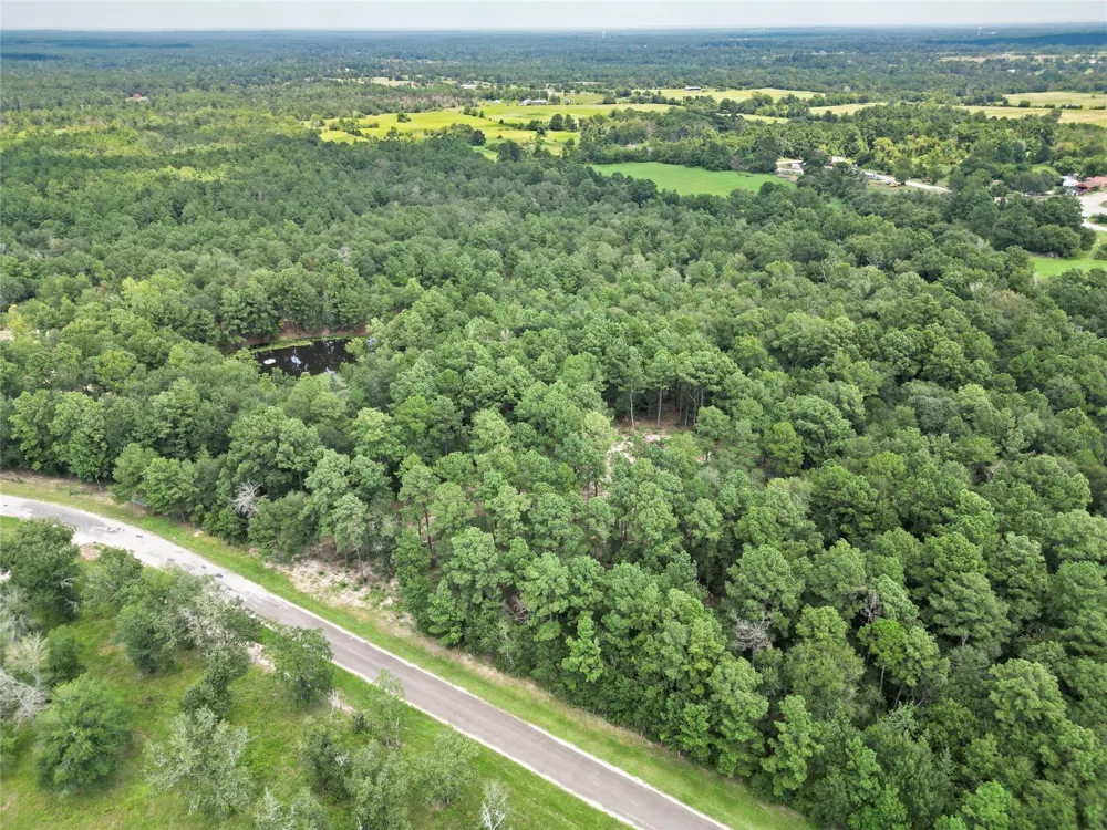 446 Moffett Springs Road Huntsville, TX 77320