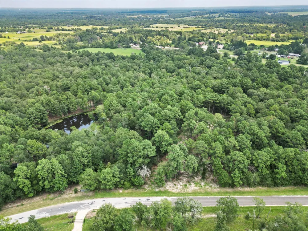 446 Moffett Springs Road Huntsville, TX 77320