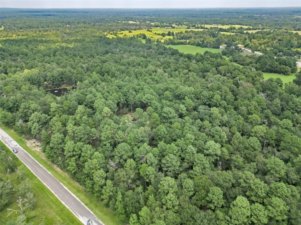 446 Moffett Springs Road Huntsville, TX 77320