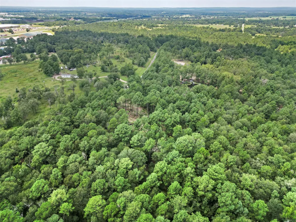 446 Moffett Springs Road Huntsville, TX 77320