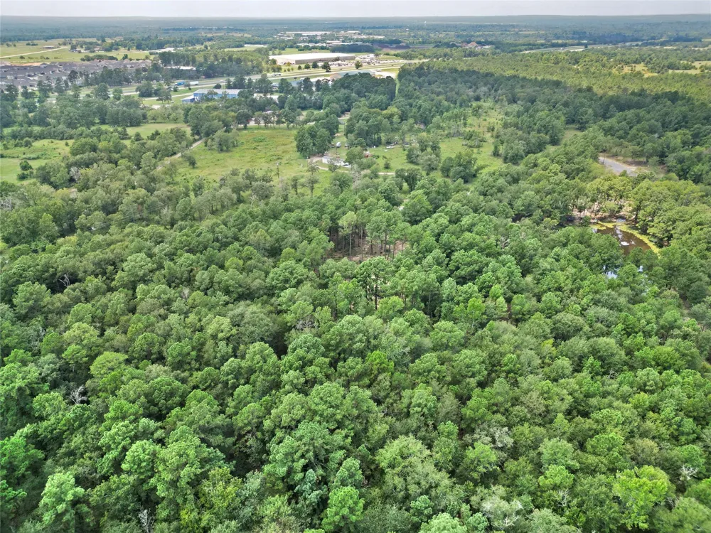 446 Moffett Springs Road Huntsville, TX 77320