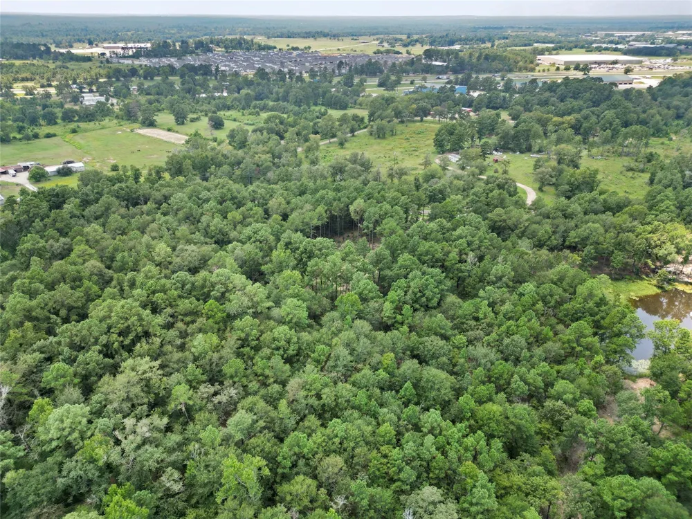 446 Moffett Springs Road Huntsville, TX 77320