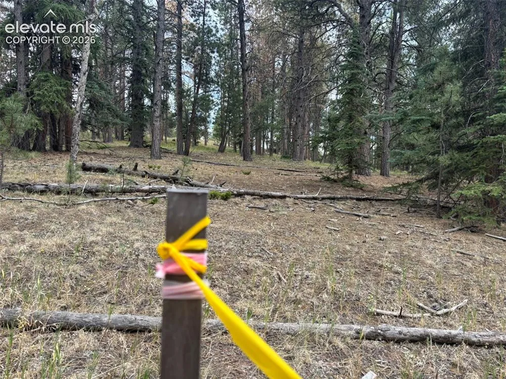 1020 Tamarac Parkway Woodland Park, CO 80863