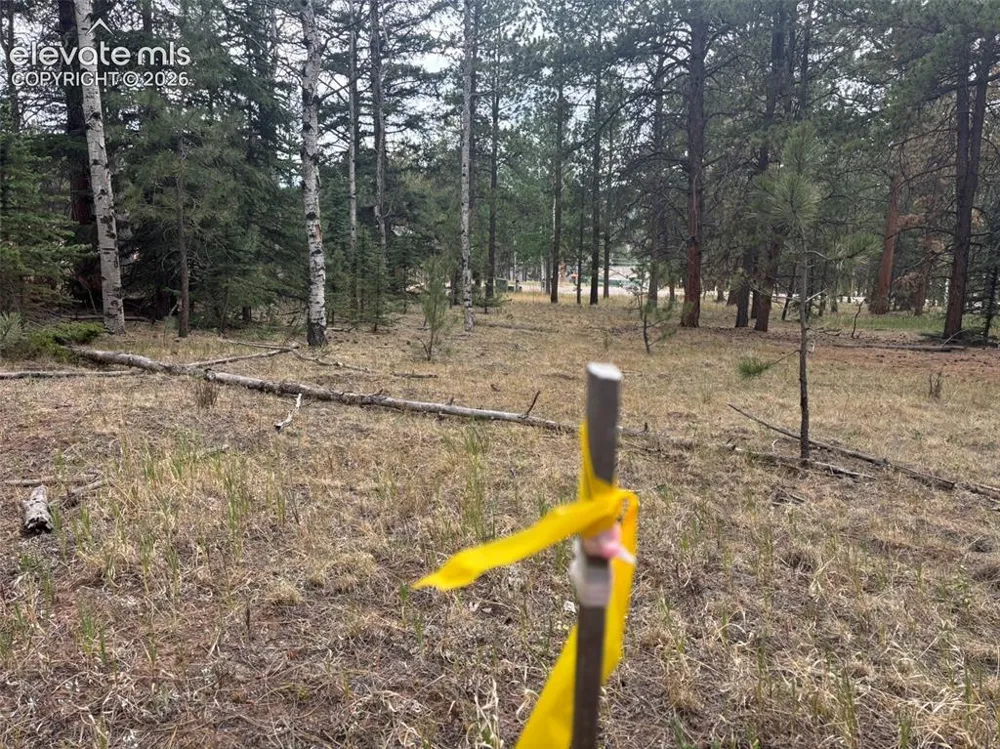 1020 Tamarac Parkway Woodland Park, CO 80863