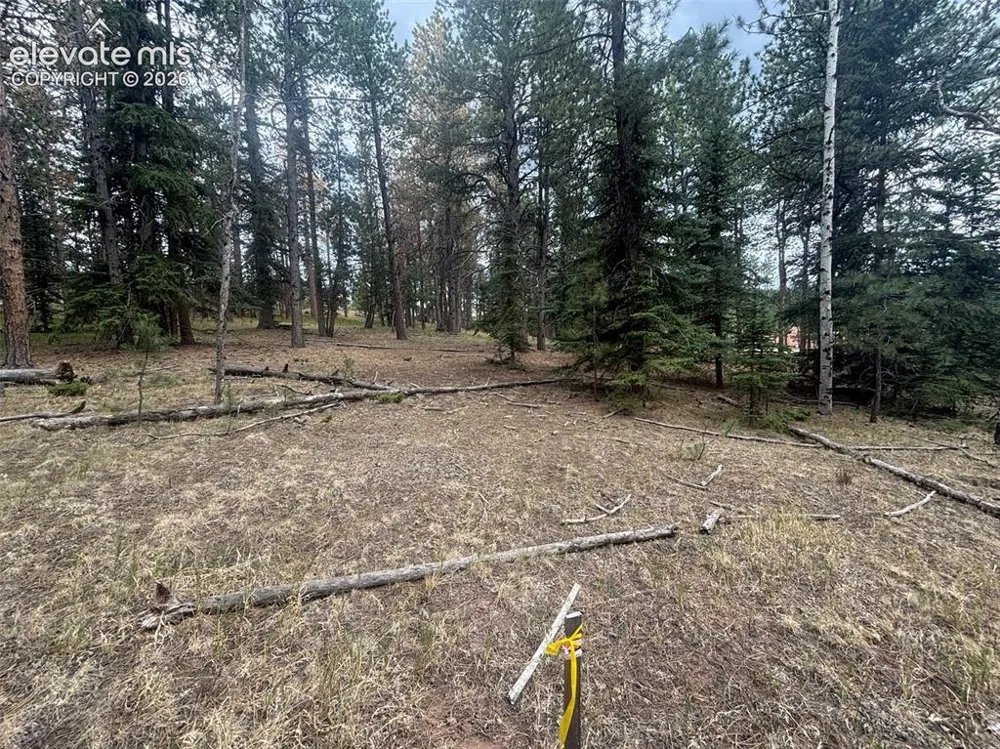 1020 Tamarac Parkway Woodland Park, CO 80863