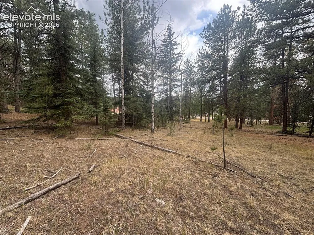 1020 Tamarac Parkway Woodland Park, CO 80863