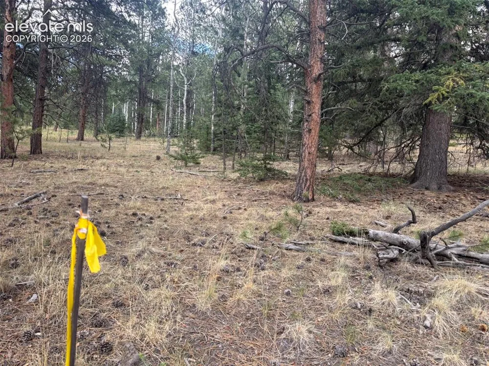 1020 Tamarac Parkway Woodland Park, CO 80863