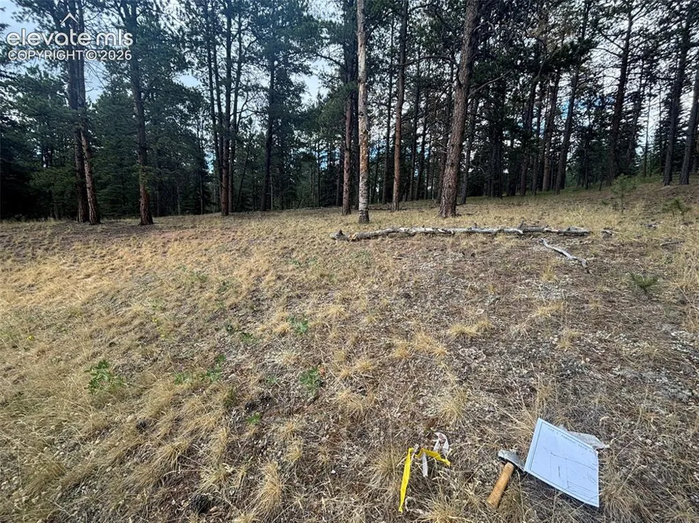 1020 Tamarac Parkway Woodland Park, CO 80863