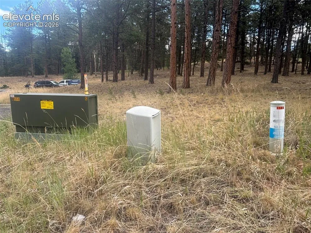 1020 Tamarac Parkway Woodland Park, CO 80863
