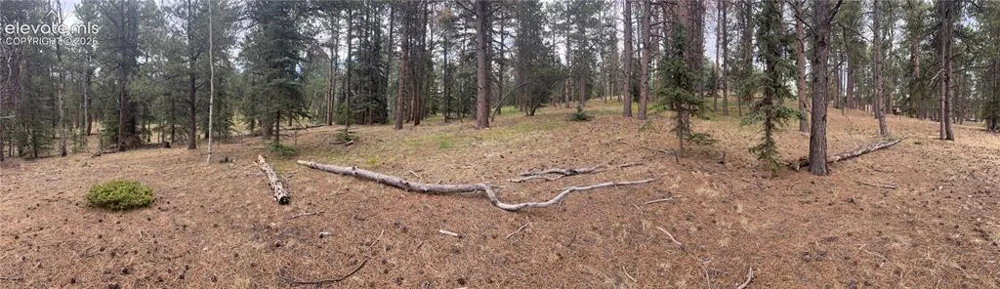 1020 Tamarac Parkway Woodland Park, CO 80863