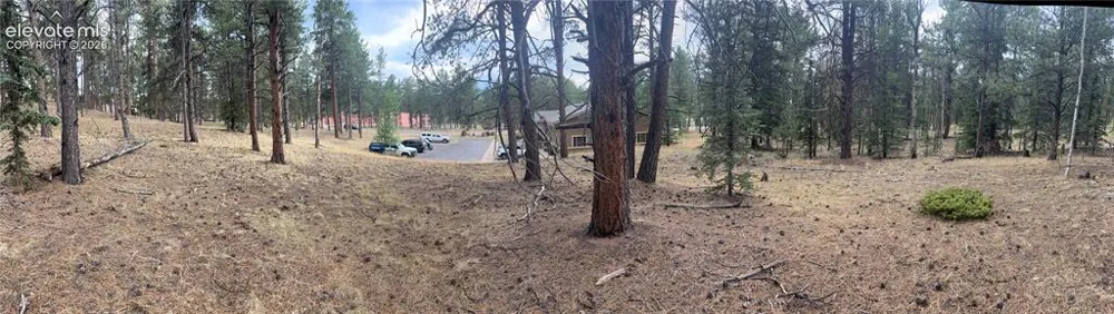 1020 Tamarac Parkway Woodland Park, CO 80863