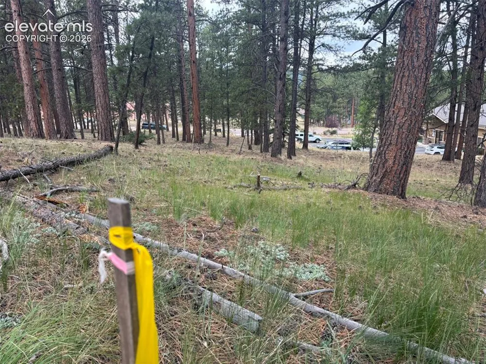 1020 Tamarac Parkway Woodland Park, CO 80863